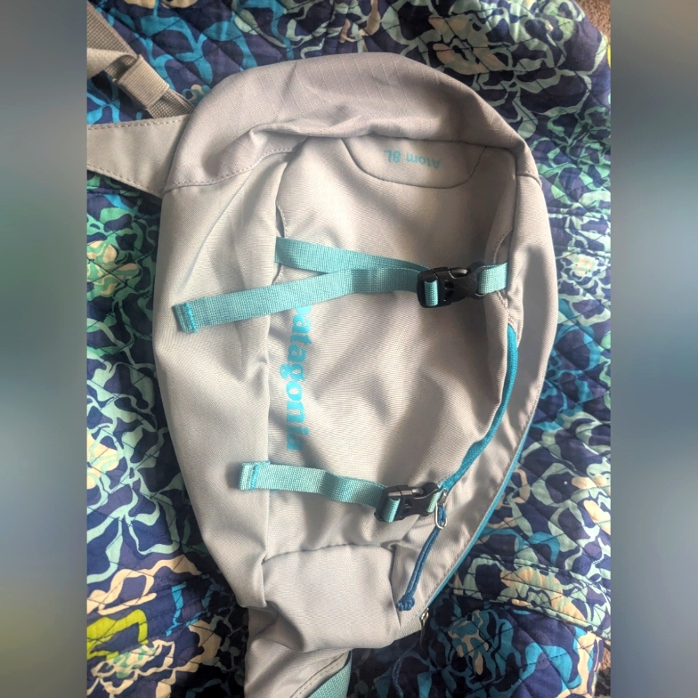 Patagonia Blue and Gray Backpack Durable Minimalist Design